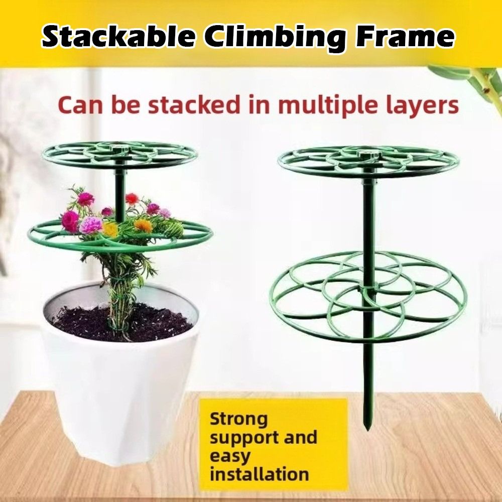 Bonsai Garden Stand - Rangka Panjat Bonsai yang Tahan Lama,