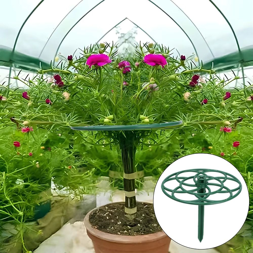 Bonsai Garden Stand - Rangka Panjat Bonsai S/M/L Plastik Multi-layer,