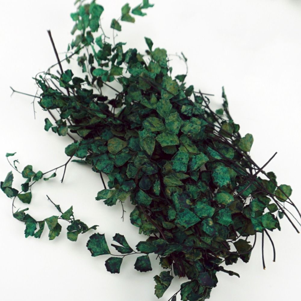 1 kotak Model adegan lanskap m - Bonsai Rock Garden ulasan dan harga