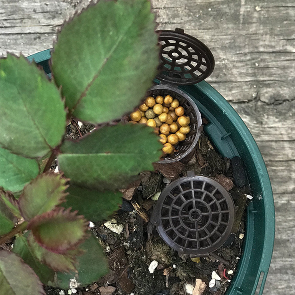 20 Buah Kotak Pupuk Plastik, K - Bonsai Garden Usa ulasan dan harga