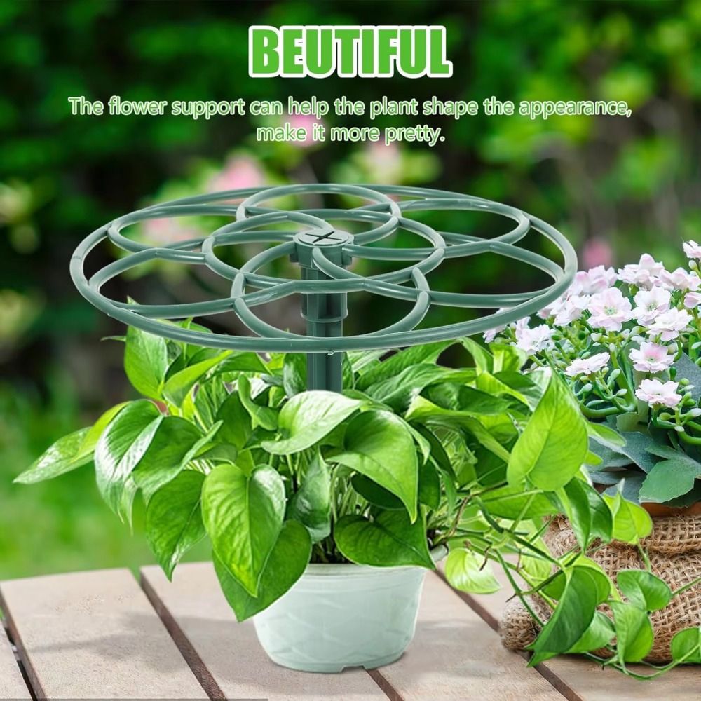 Rangka Panjat Bonsai yang Taha - Bonsai Garden Stand ulasan dan harga