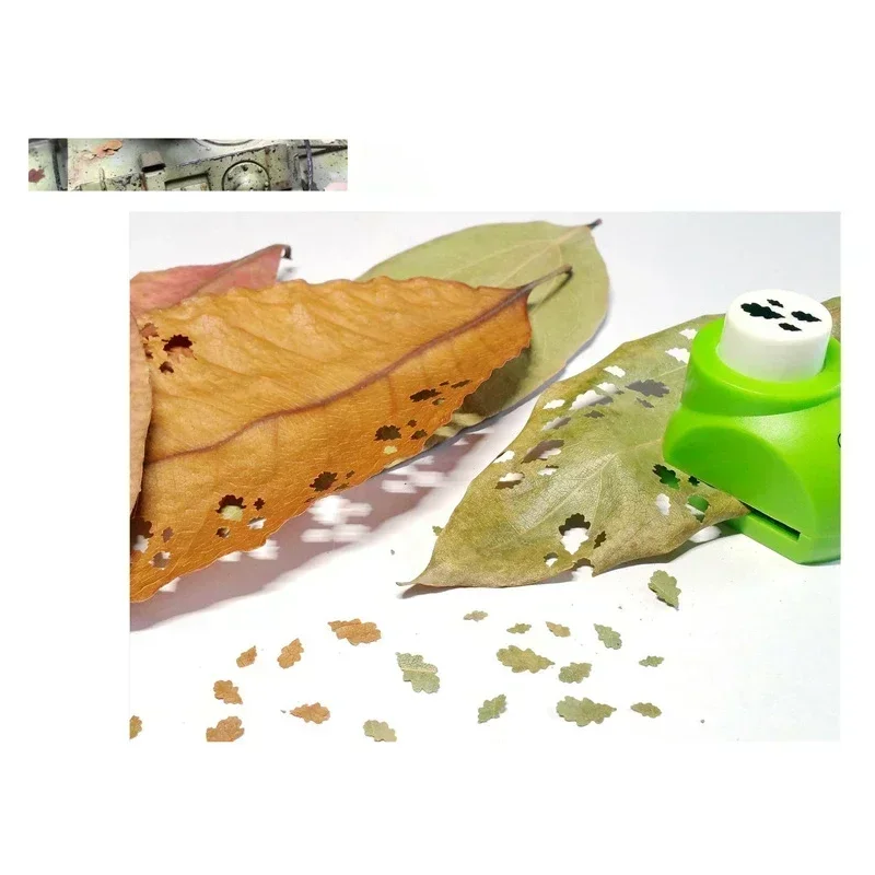 4 in 1 Model pemandangan daun  - Bonsai Rock Garden ulasan dan harga