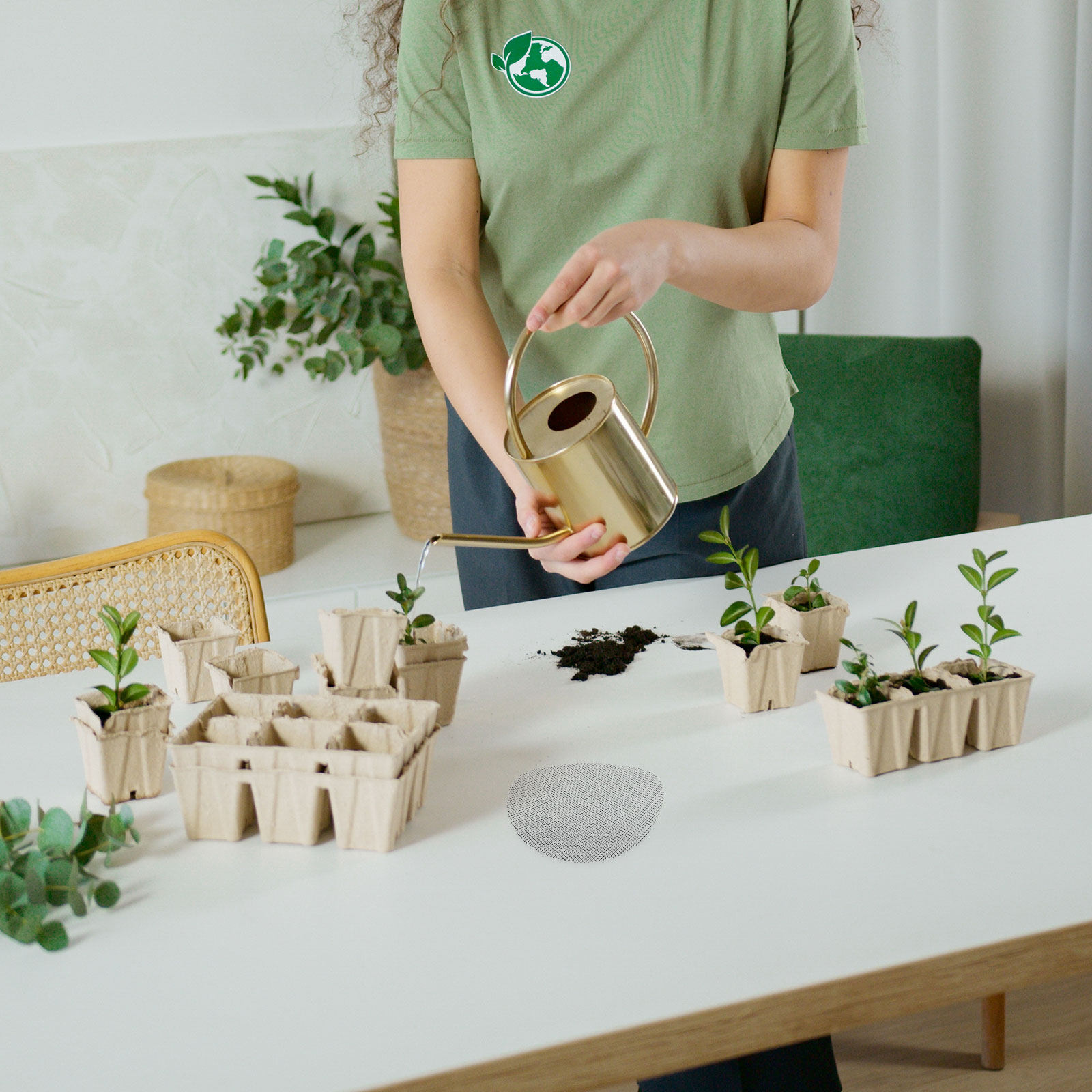 50 Buah Alas Jaring untuk Luba - Bonsai Garden Usa ulasan dan harga