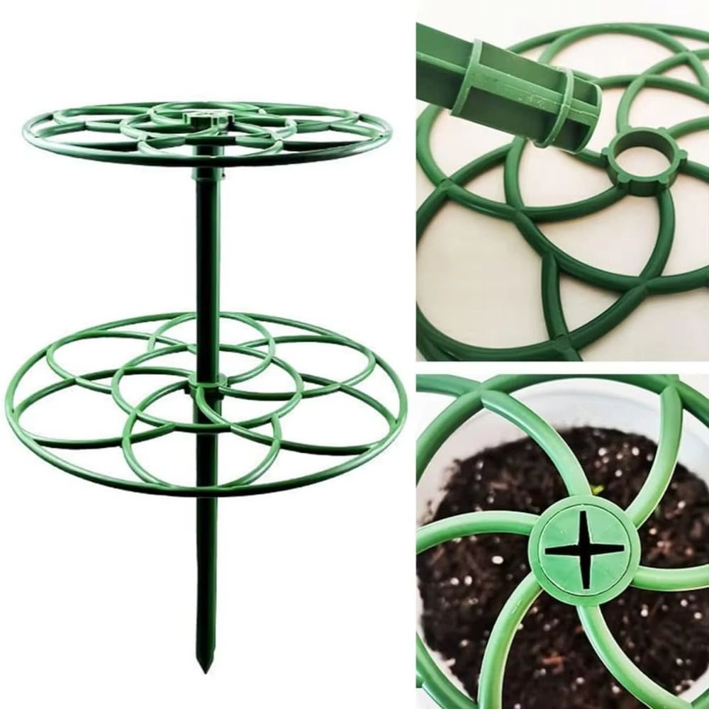 Rangka Panjat Bonsai S/M/L Pla - Bonsai Garden Stand ulasan dan harga
