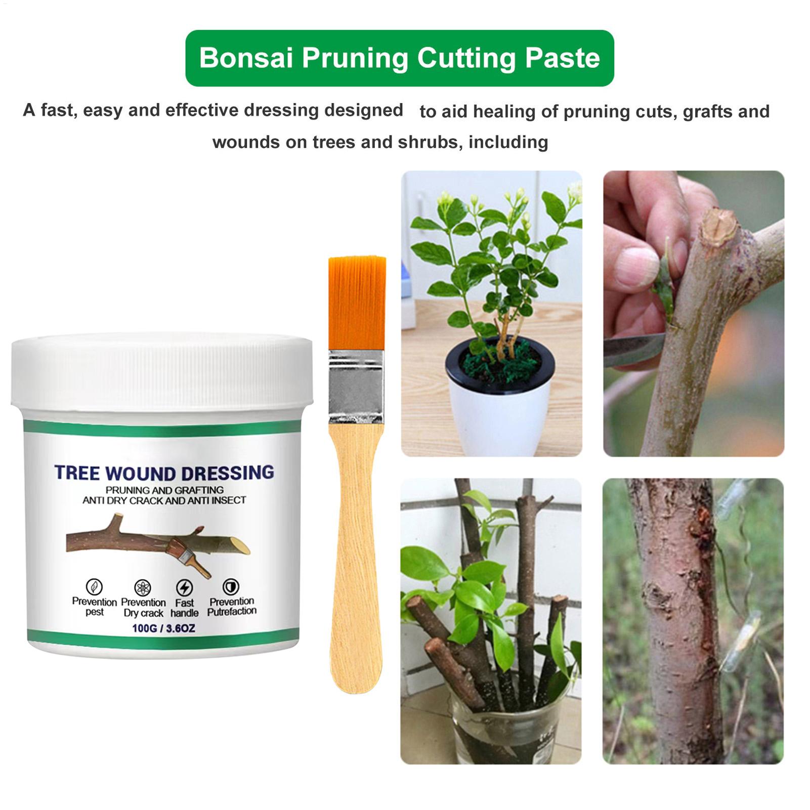 100g Penyegel Luka Pemangkasan - Bonsai Garden Usa ulasan dan harga