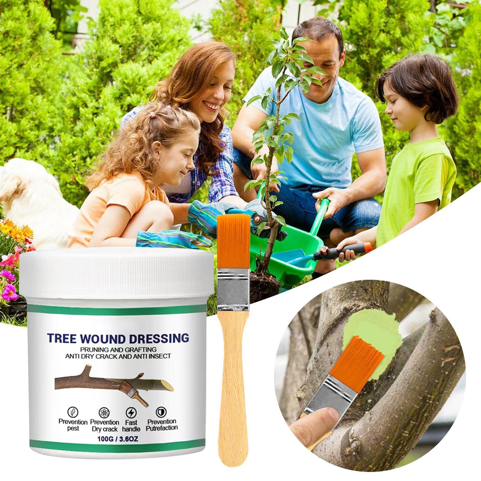 100g Penyegel Luka Pemangkasan - Bonsai Garden Usa ulasan dan harga