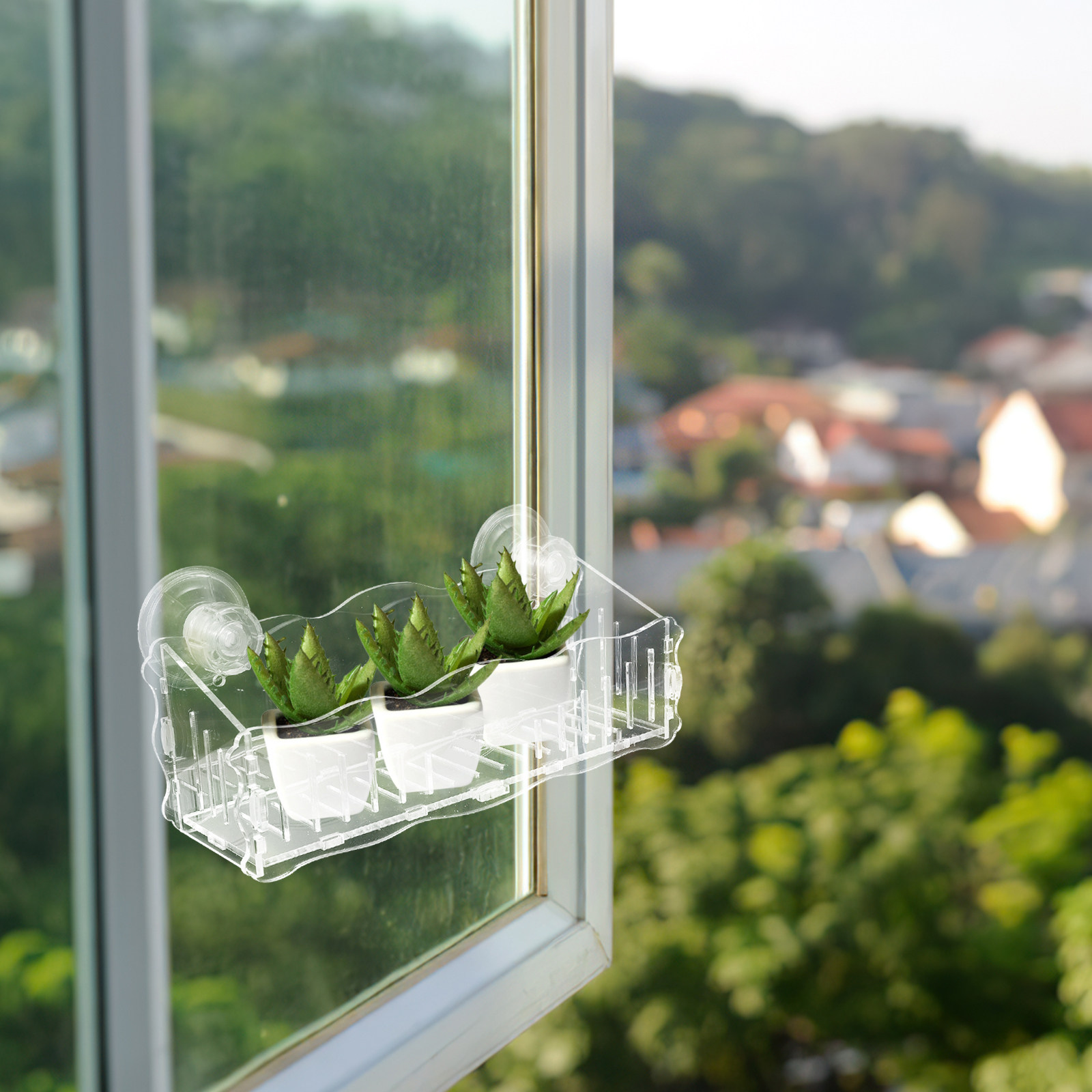 Rak Tanaman dengan Sistem Peng - Bonsai Garden Usa ulasan dan harga